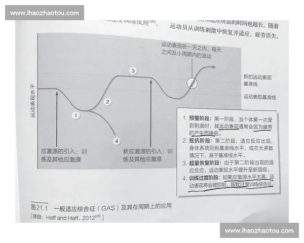 科学制定运动训练计划提升体能与技能的系统安排策略