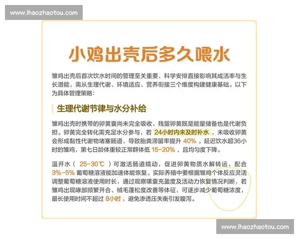 科学补水攻略:全天候水分补给与健康管理全指南 科学补水攻略:全天候水分补给与健康管理全指南