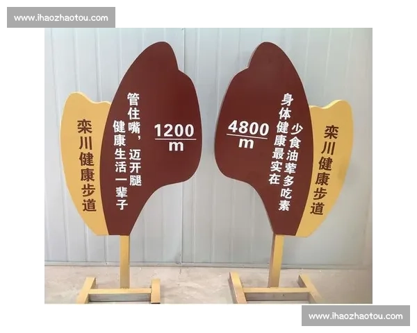 构建以体育文化体系为核心的社会发展与全民健康促进策略 构建以体育文化体系为核心的社会发展与全民健康促进策略